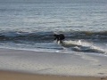 pro skim