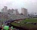 Palmeiras Final