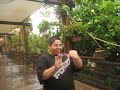 cra-bein-a-mime.html