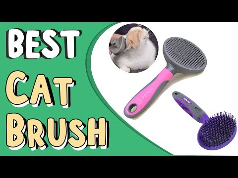 Top 5 Best Cat Brush in 2022 _ Cat Grooming