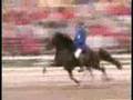 Fast speed racking horse