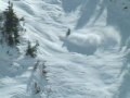 US Freeskiing Nationals @ Snowbird Josh Holcomb semis run