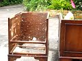 Golfball Gun Damage Video Golfball Gun Damage Video