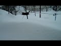 Котэ и много снега