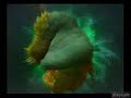 Final Fantasy XII C�chulainn (Queklain) Deathblow