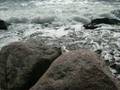 Die Wise Guys ~ Das Wasser