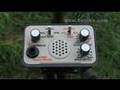 Tesoro Lobo metal detector at Regton with Norfolk Wolf.