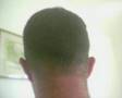 videos de IL RE DEL PETO ... !!!
