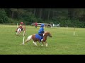 pony games tartas 2008 ptits diables slalom