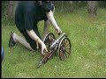 Ardesa black powder cannon Vorderlader-Kanone Ardesa black powder cannon Vorderlader-Kanone