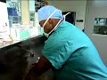 A Day in the Life - Surgeon A Day in the Life - Surgeon