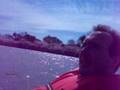 videos de Paddleboat in DC
