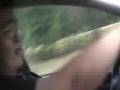 Roadtrippin' in Panda's Lowrider