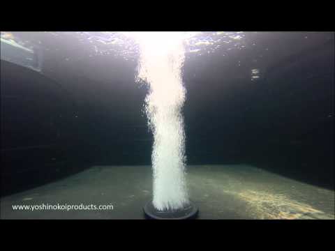 how to drain koi pond