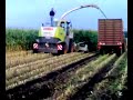 Claas Jaguar 900 Hakselaar