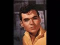 Ted Herold - Auch du wirst gehen