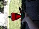 my little friend