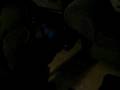 videos de MVI_1066.AVI