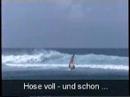 Haiwaiurlaub von einem Traunseer Haiwaiurlaub von einem Traunseer