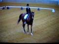 Lisa & Bingo Helen Williamston NC 11-16-2008 Harvest Moon 2nd Level Test 1