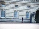 A guard at bucking ham palace