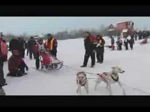 Video 770 - Hunting - Villégiature & Pourvoirie Daaquam - Saint-Just-de-Bretenières - La Côte-du-Sud - Chaudière-Appalaches