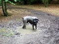 Schubert & The Mud Bath Schubert & The Mud Bath