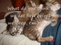 My Cats Cheaty, soundie, blondie & cutie