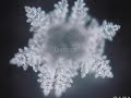 positive   negative energy effects on water crystals