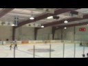 Mites Phantoms Mites Phantoms