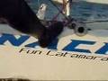 Nacra 5.5 Netherlands