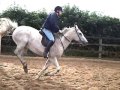 My Private Lesson on Ozzy!