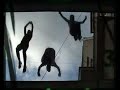 Freerun & Parkour Revolution (Botosani 2007)