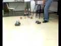 videos de Projeto de PSI2222 2008 - Escola Politécnica da USP - Vídeo 5