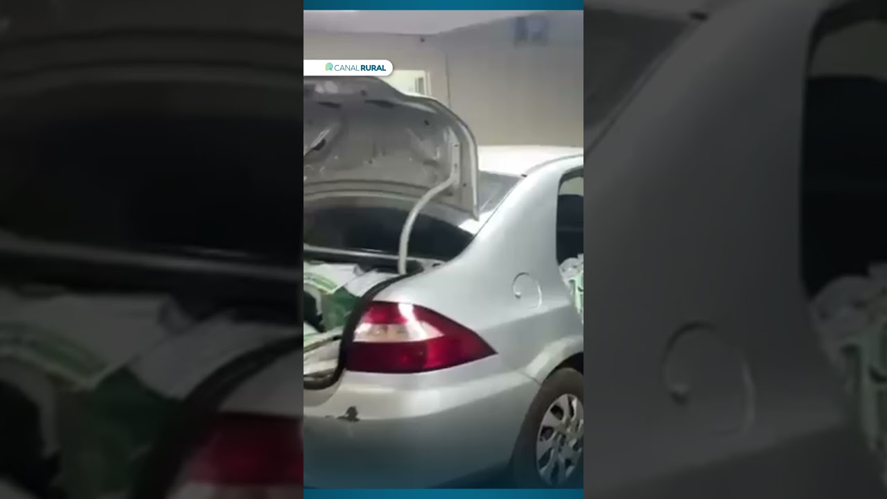 Policiais apreendem 600 kg de defensivos agrícolas avaliados em R$ 695 mil