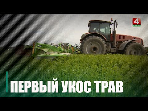 Аграрии Беларуси приступили к первому укосу трав видео