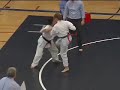 Kyokushin Challenge 2008