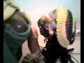 bob marley risas