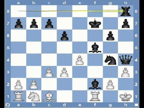checkmate checkmate