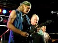 Gator Country / Molly Hatchet