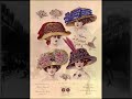 Paris Waltzes of 1900: Reda Caire and Germaine Feraldy