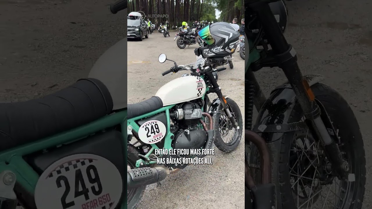 ROYAL ENFIELD BEAR 650: PRIMEIRA IMPRESSÃO #horts