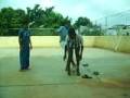 videos de Luiz ,Leandro ,Henrique.
