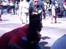 will smith su hollywo blvr