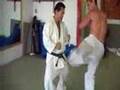 Ashihara Karate USA