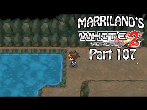 how to find n's pokemon in white 2