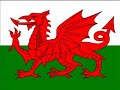 Celtic Cousins