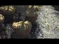 Nursery sales through Chris Orser Landscaping