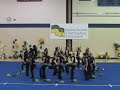 Campbell Senior Pom - Thumb #2