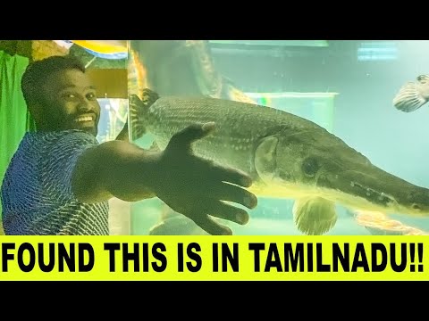 Found This In Tamilnadu | Vijay Viruz